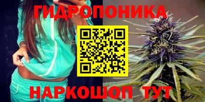 гашик Свободный