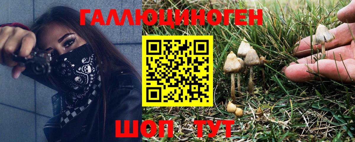 Галлюциногенные грибы мицелий Бутурлиновка